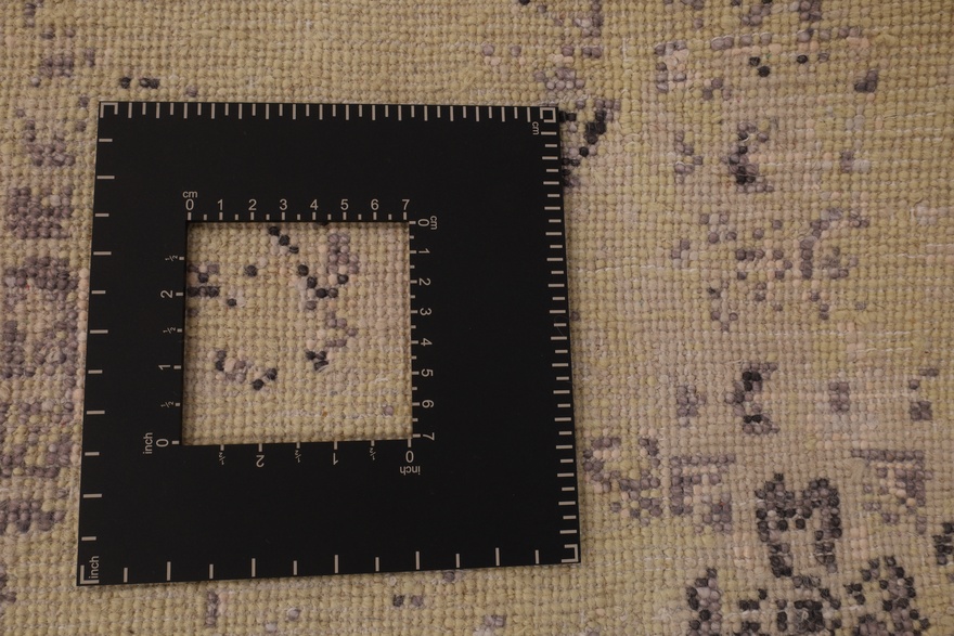 MODERN LOTUS Carpet 305x199