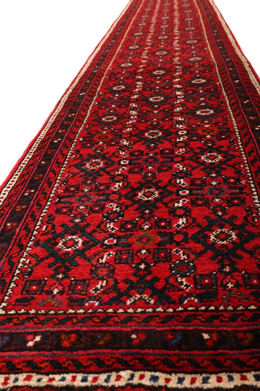 Hamadan carpet 350x60