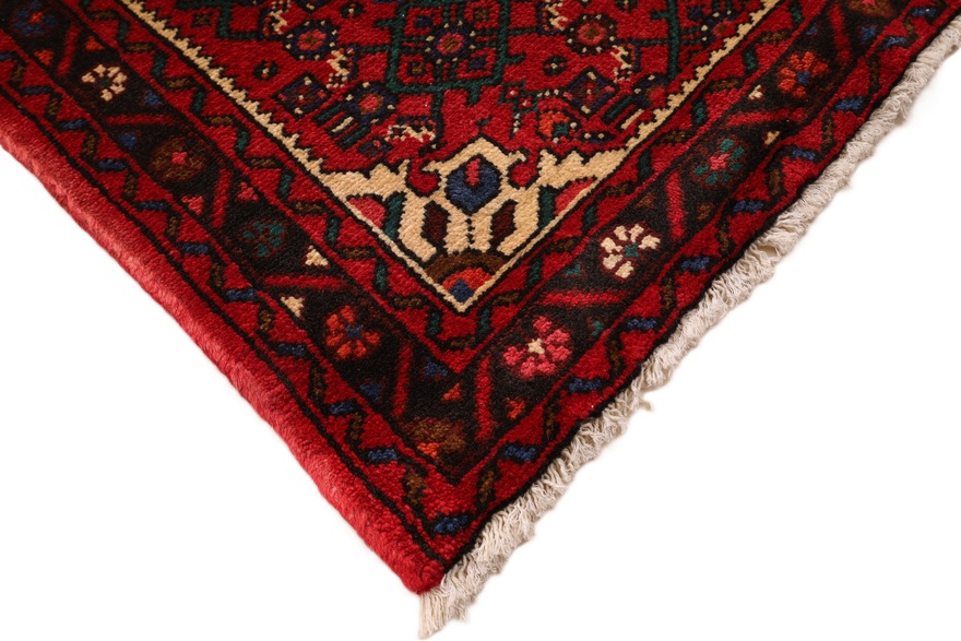 Hamadan Carpet  287x87