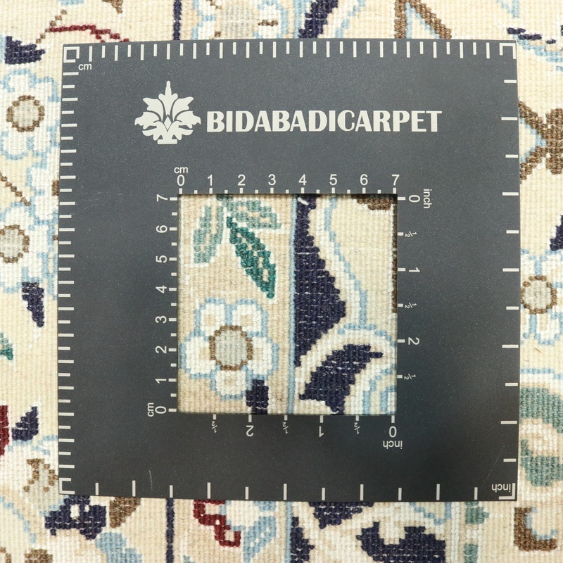 NAIN 9LA  Carpet  244x156