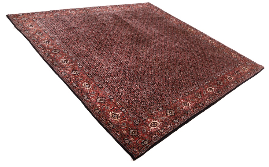 Bidjar Carpet 255x255