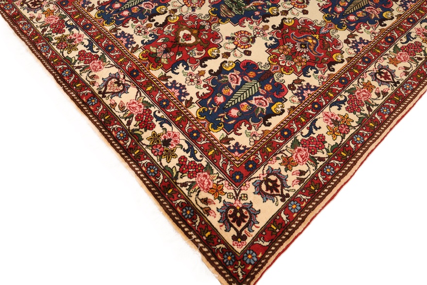BAKHTIAR Carpet 235x160