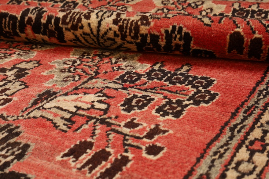 Hamadan Carpet  419x85