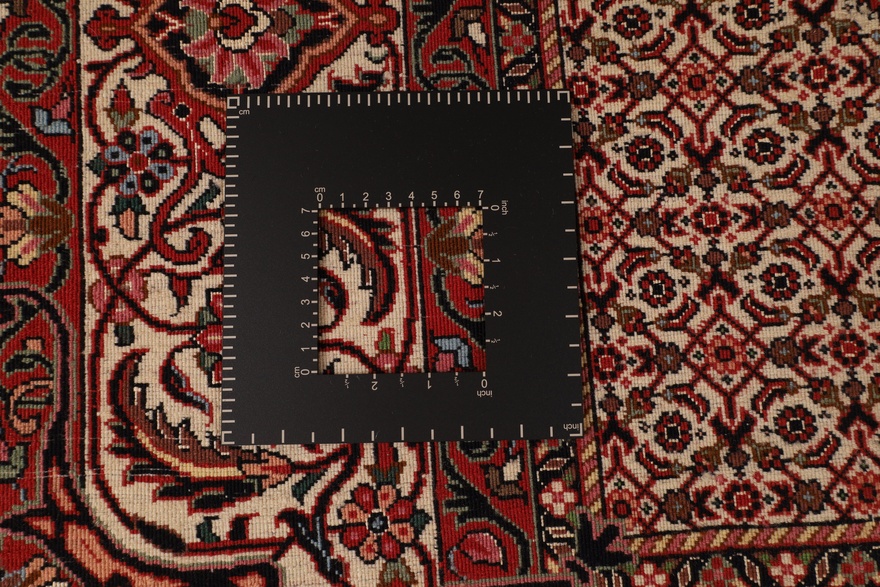 Bidjar Fein Carpet 308x212