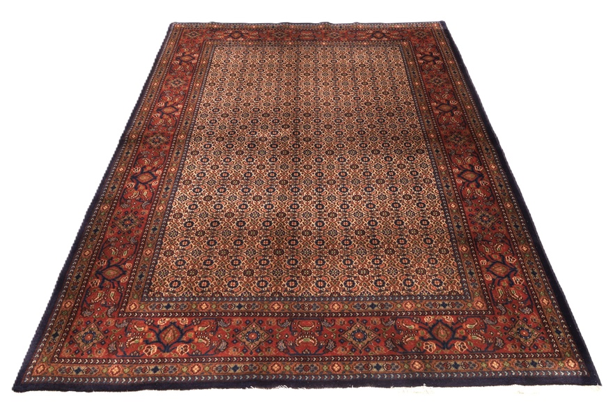 Moud Carpet  222x147