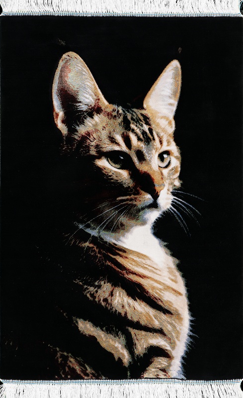 Qom Cat  Carpet  90x60