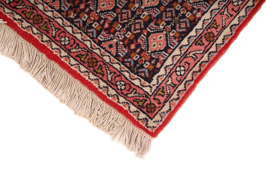 Bidjar  Carpet 255x57