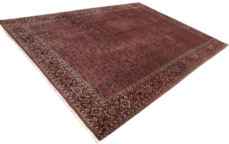 Bidjar Carpet 335x252