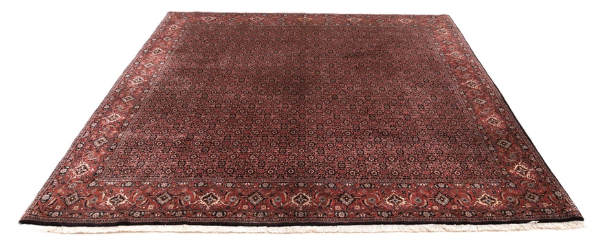 Bidjar Carpet 255x255