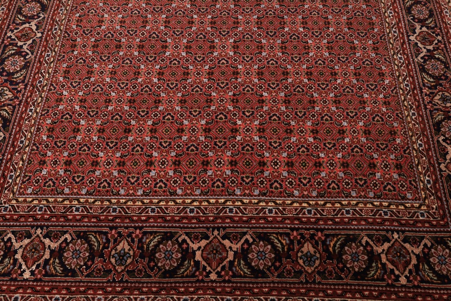 Tabriz50Raj Carpet 155x99