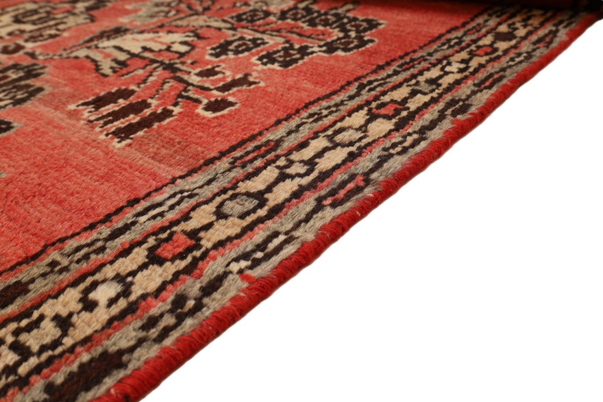 Hamadan Carpet  419x85