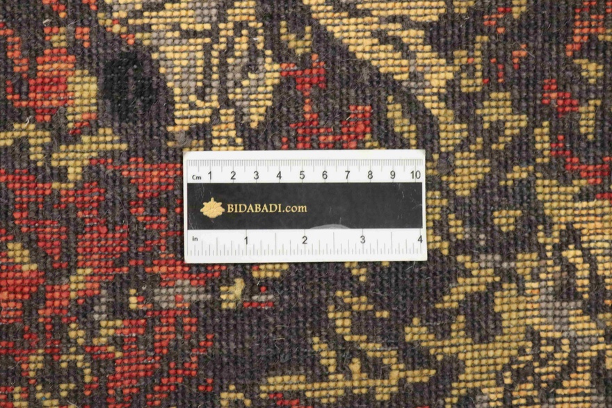 MODERN LOTUS Carpet  303x238