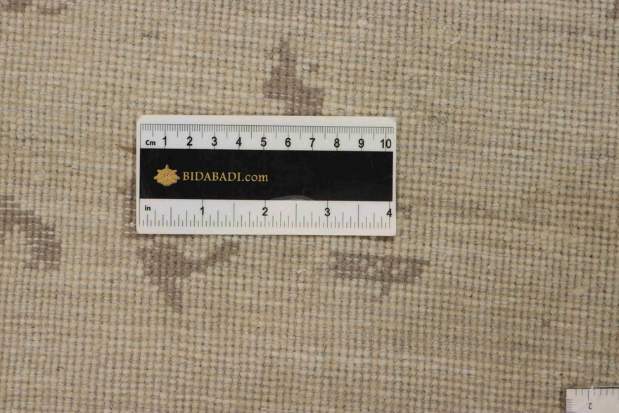 MODERN LOTUS Carpet 296x202