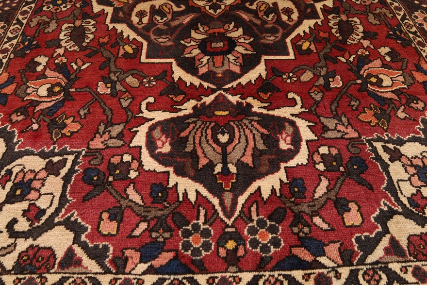 BAKHTIAR Carpet 227x144
