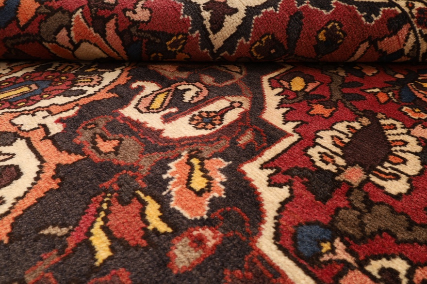 BAKHTIAR Carpet 227x144