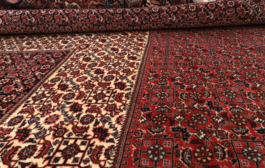 Bidjar Carpet  385x300