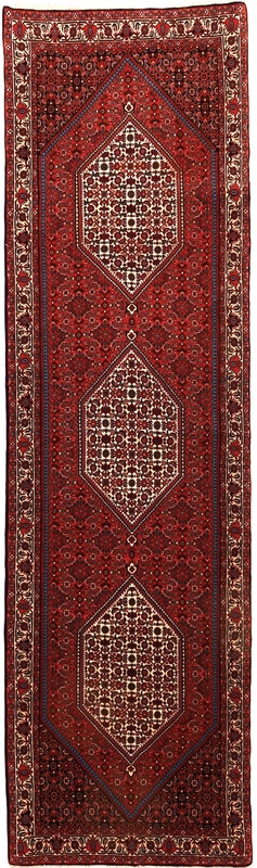 Bidjar Carpet  300x84