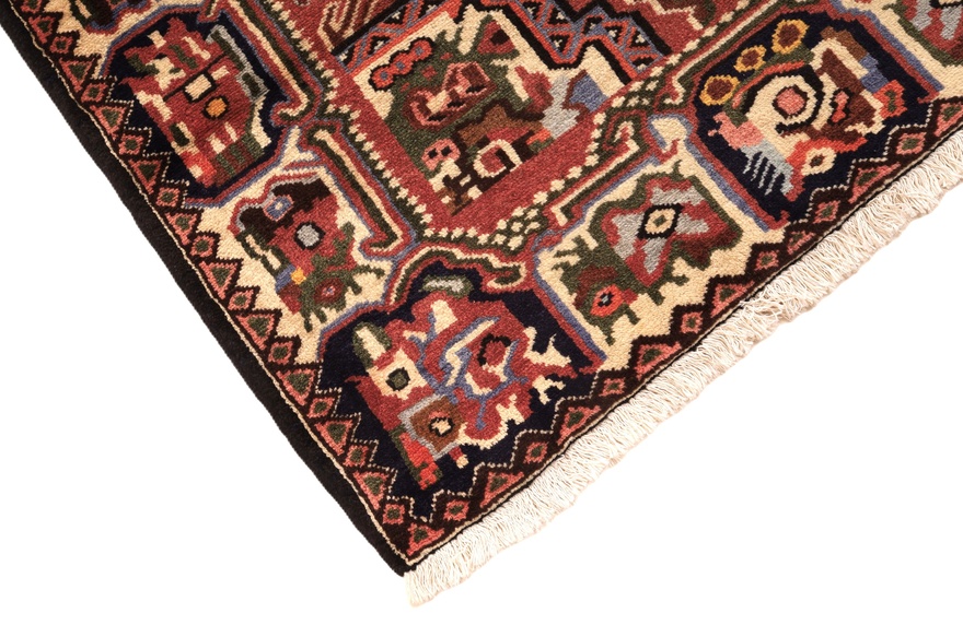 BAKHTIAR Carpet 395x110