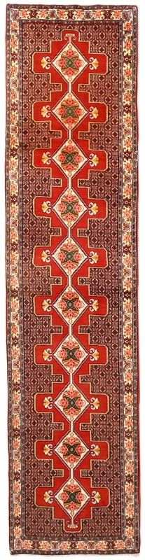Senneh Carpet  390x90