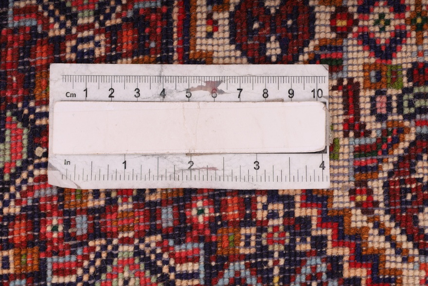 Bidjar  Carpet 255x57
