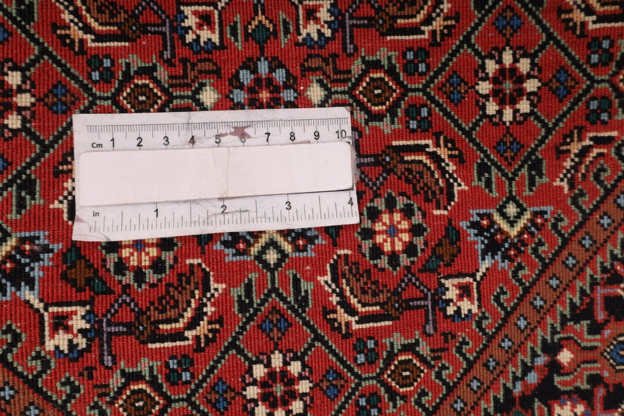 BIDJAR Carpet  185x109