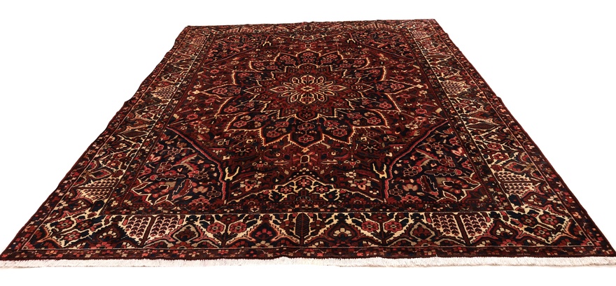 BAKHTIAR Carpet 384x309