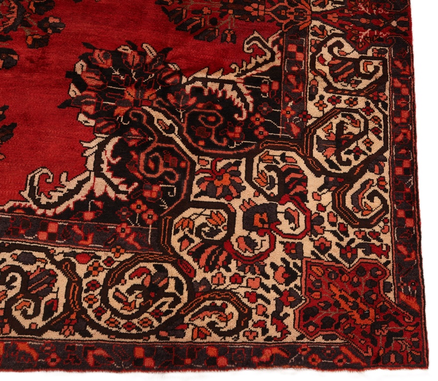 BAKHTIAR Carpet  299x210