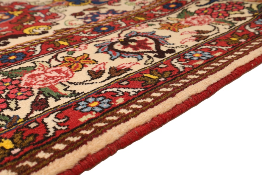 BAKHTIAR Carpet 235x160