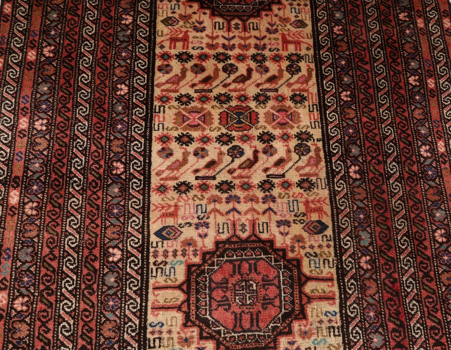 Kurdi Carpet 404x104