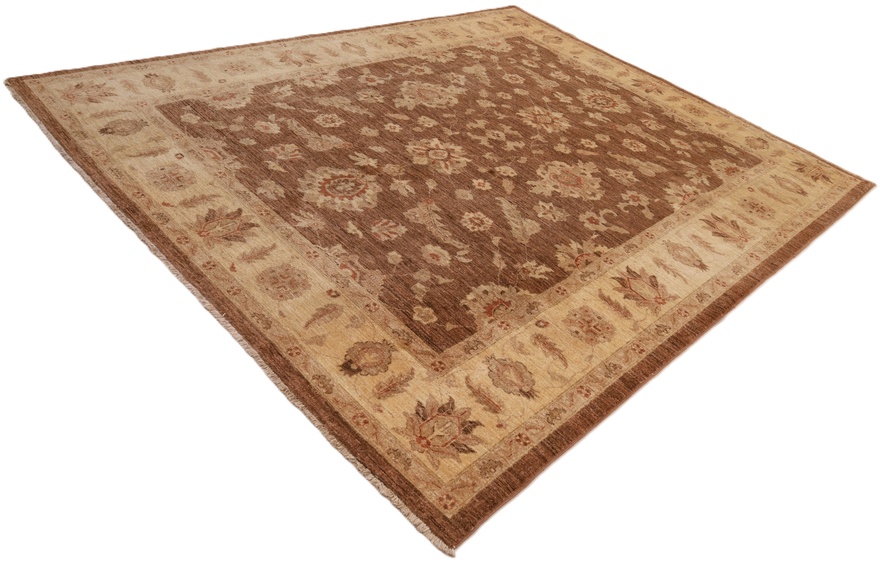 ZiglerCarpet 297x249