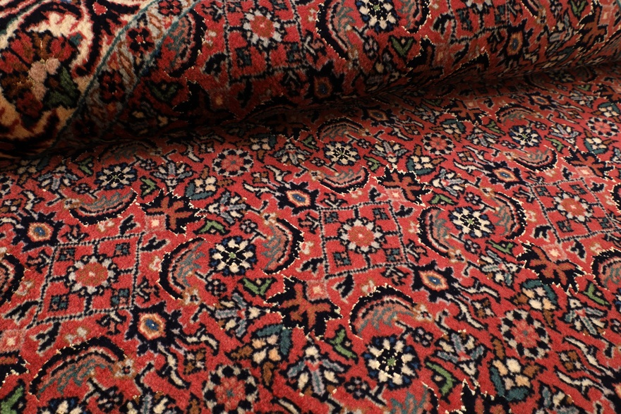 Bidjar Carpet 335x252