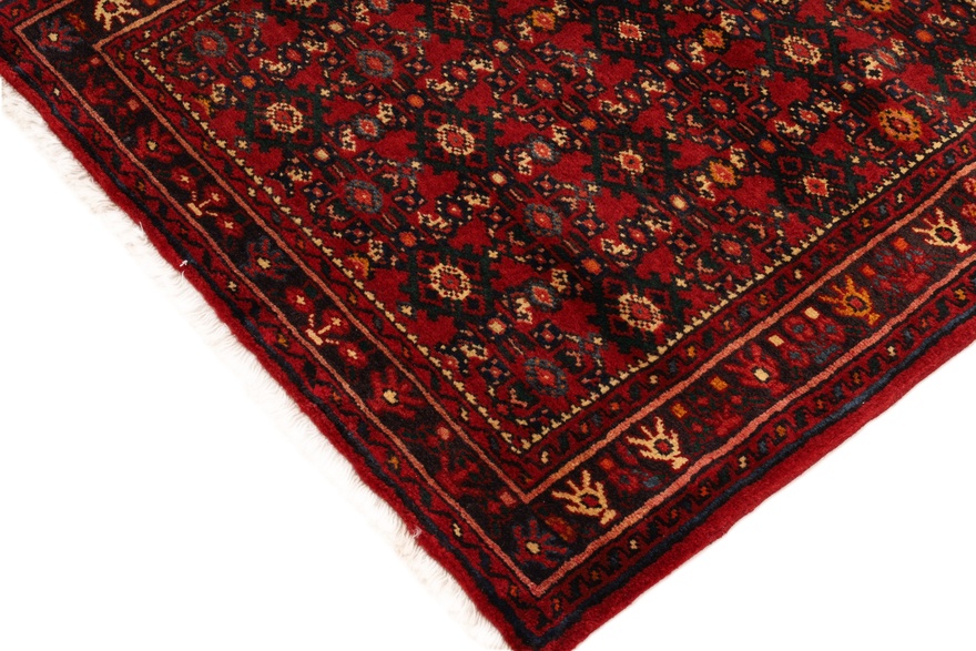 Hamadan Carpet 460x92