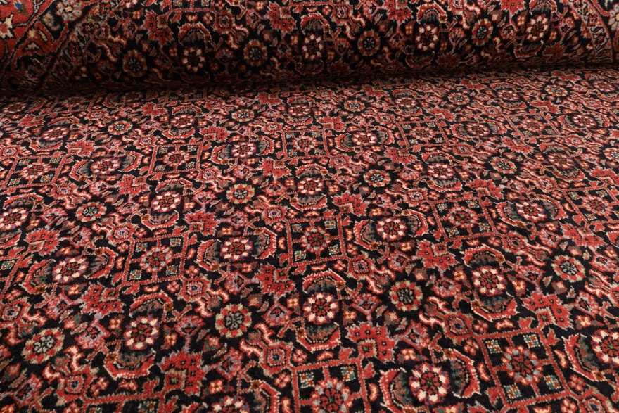 Bidjar Carpet 255x255