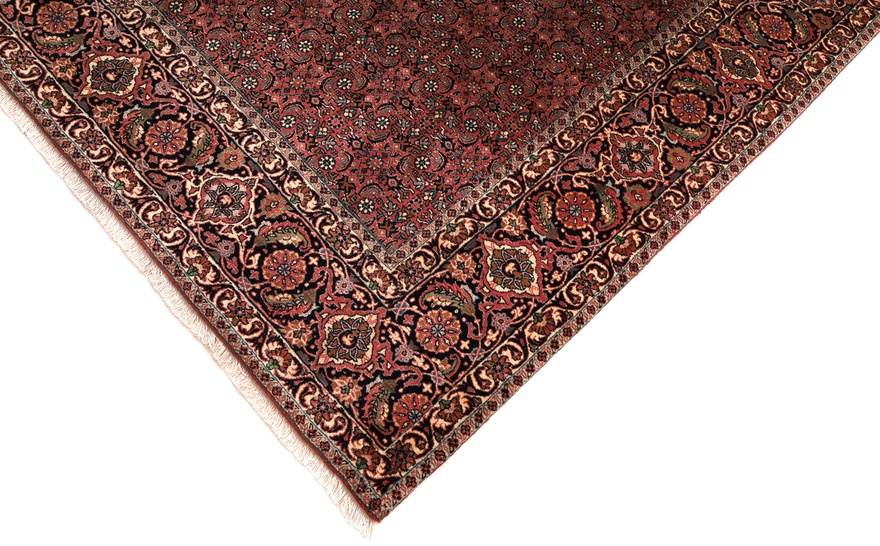 Bidjar Carpet 335x252