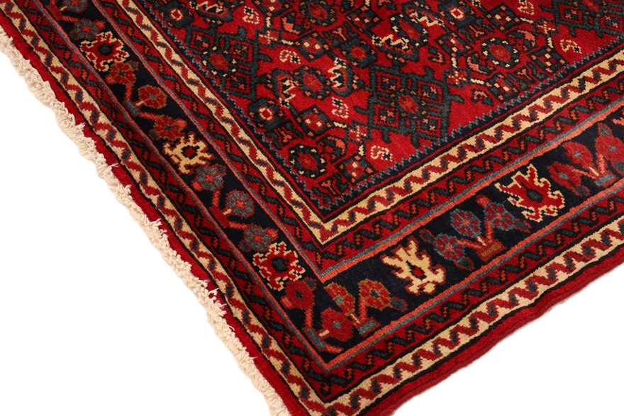 Hamadan Carpet  450x100
