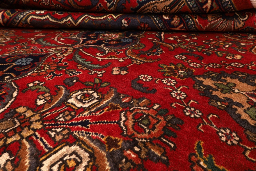 Tabriz Marke Ashran Carpet  505x312