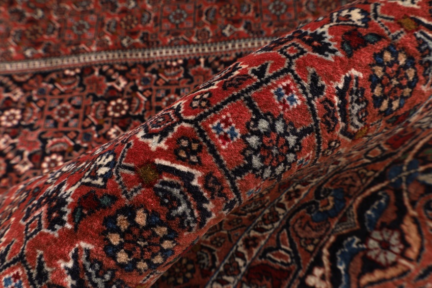 Bidjar Carpet  385x300