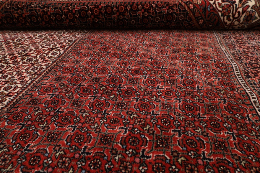 Bidjar Fein Carpet 308x212