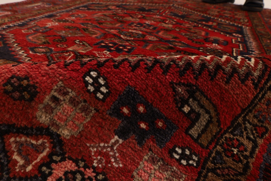Zanjan Carpet  207x132