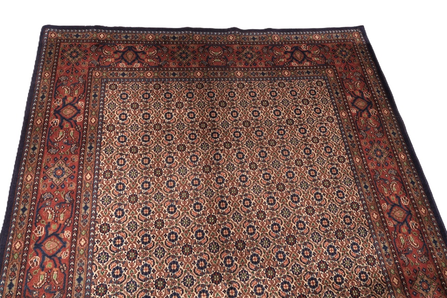 Moud Carpet  222x147