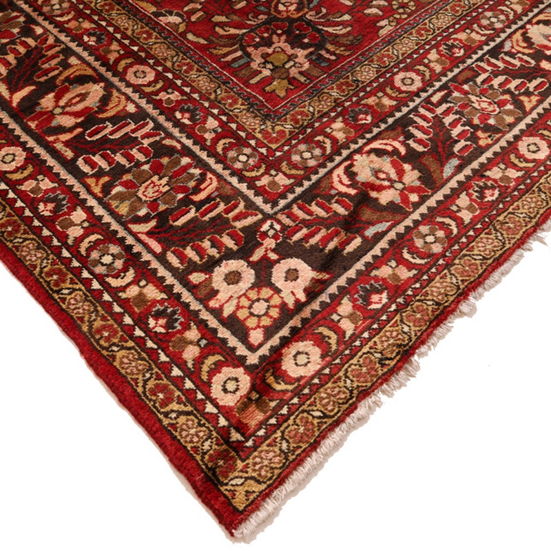Lilian Carpet 334x228