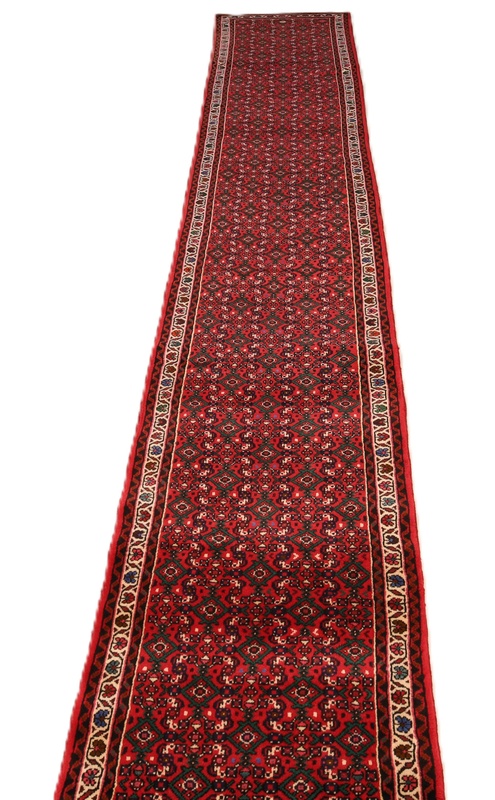 HOSEANABAD Carpet  480x75