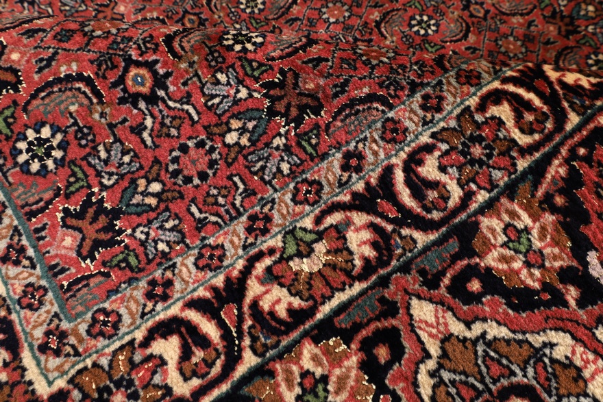 Bidjar Carpet 335x252