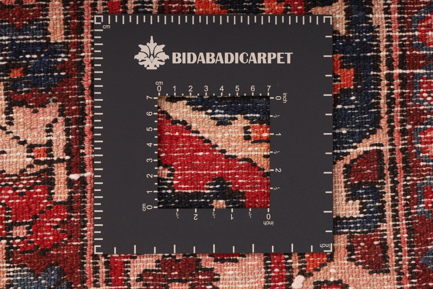 BAKHTIAR Carpet 306x154