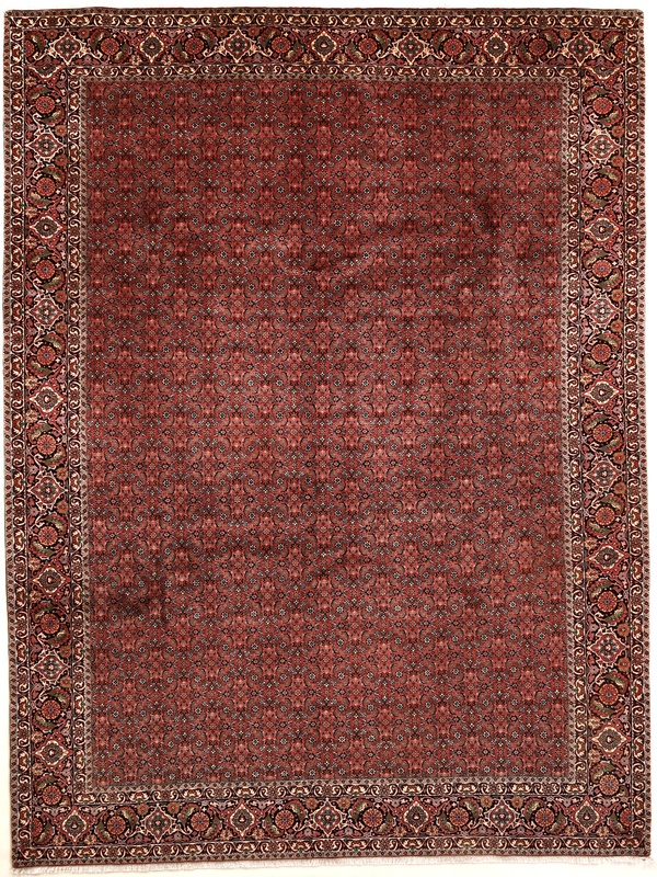 Bidjar Carpet 335x252