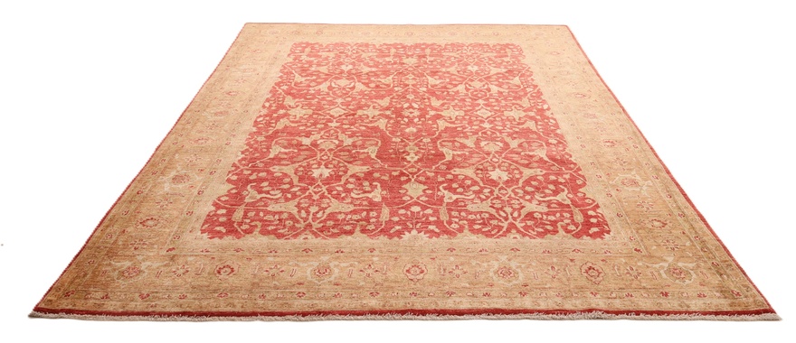 Zigler Carpet 350x260