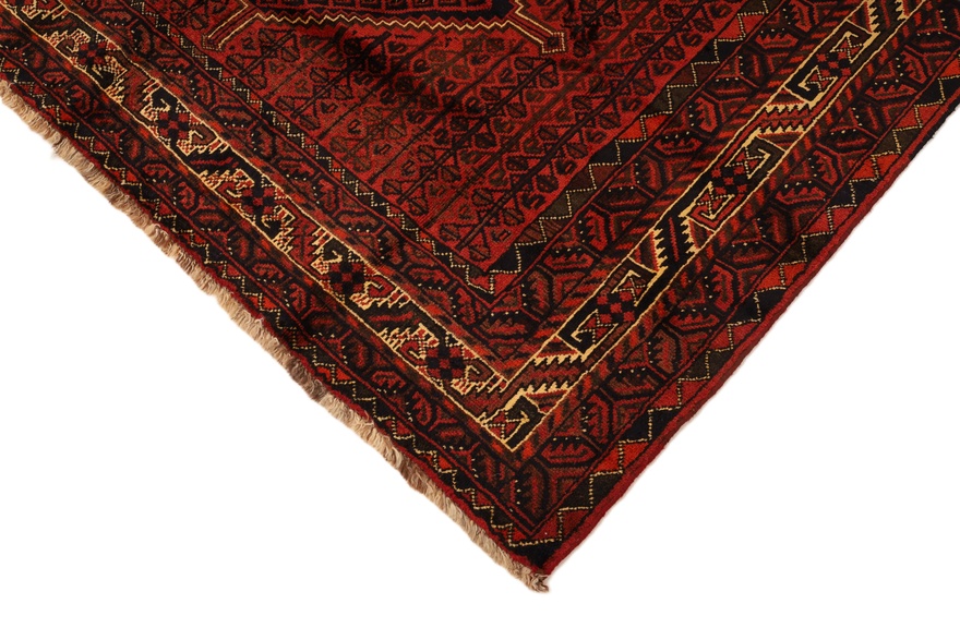 Schiraz Carpet  271x194