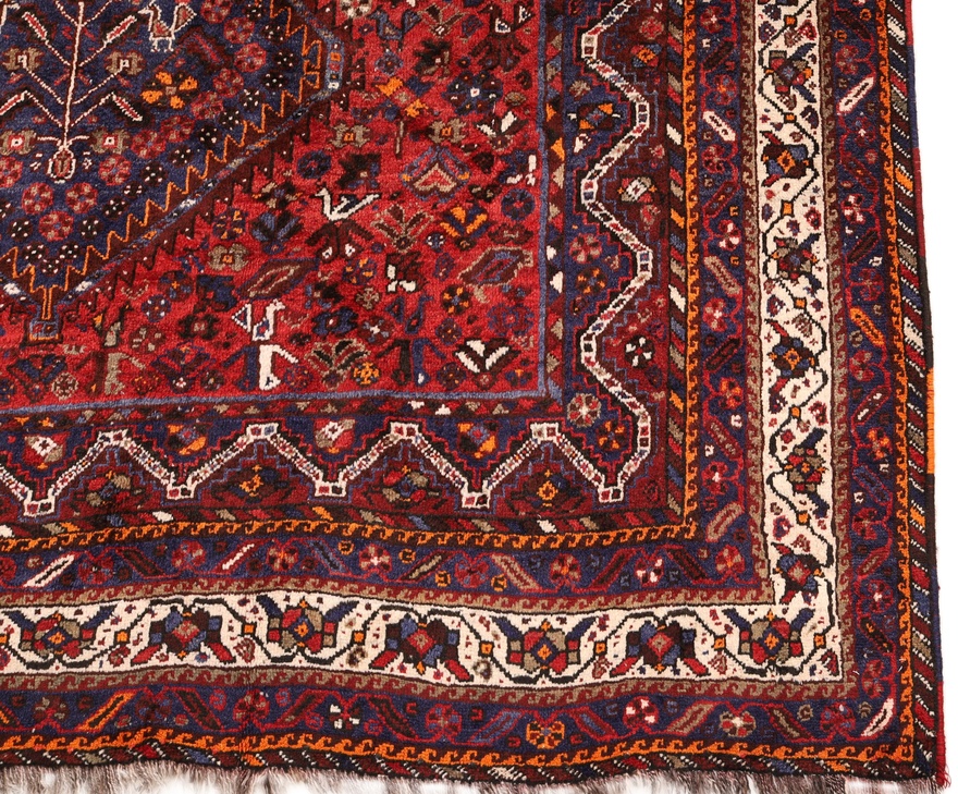 Ghashghai Kashkuli Carpet  310x219