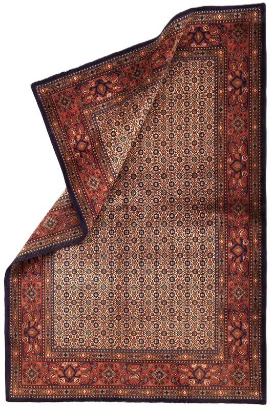 Moud Carpet  222x147