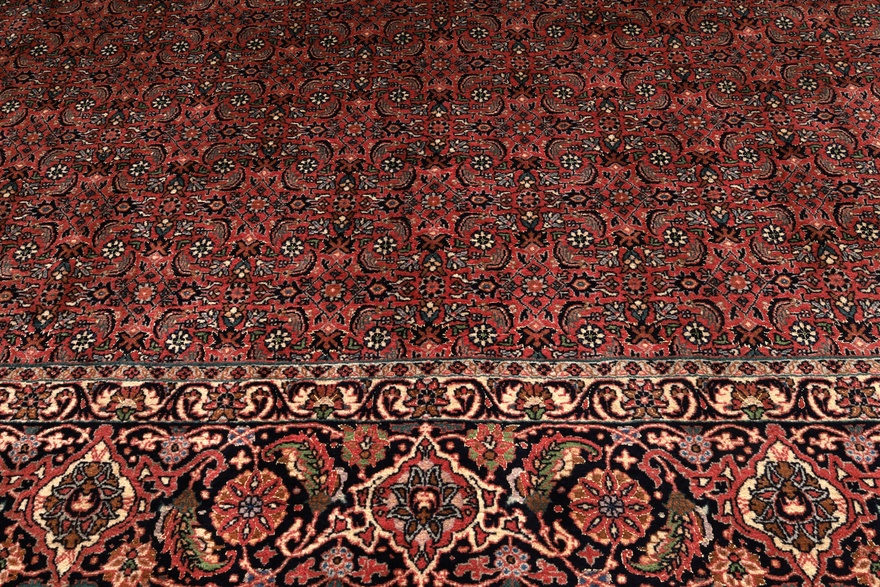 Bidjar Carpet 335x252